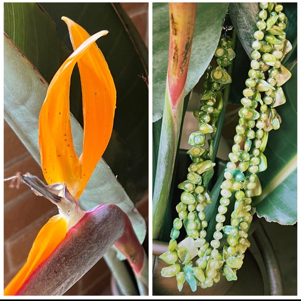 Collier Beauté Tropical – Image 2