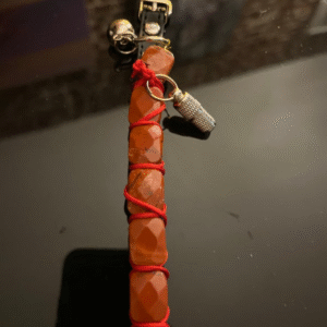 JANUS – L’Élégance Féline