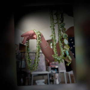 Éclats de Nature  Le collier Enchanté